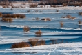043_Biebrza - marzec 2013